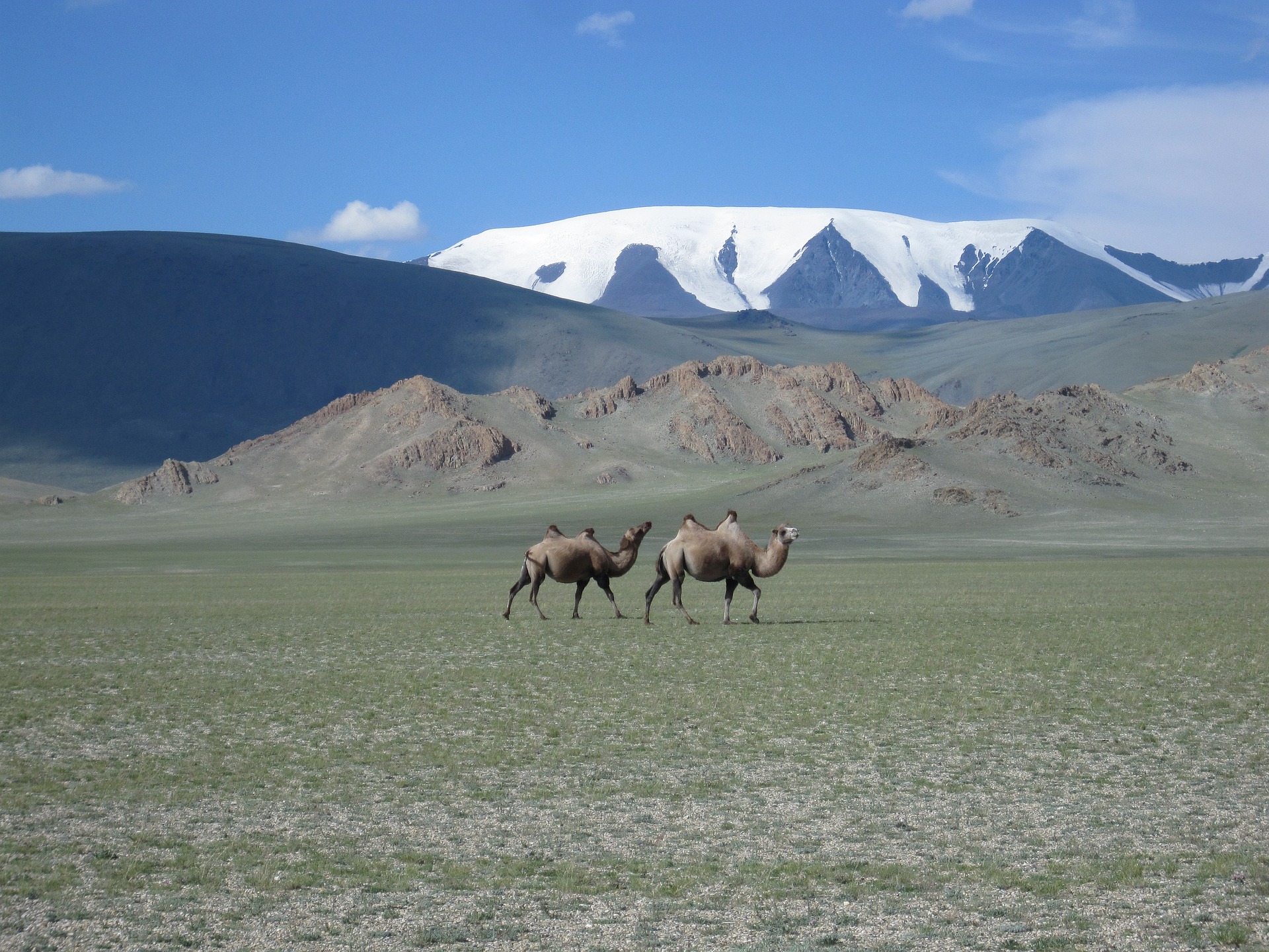 Mongolia cover picture